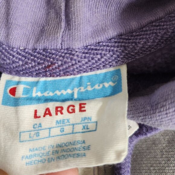 Y2K Champion Uo Exclusive Men's Large Purple Colorblock Hoodie Sweatshirt - Picture 2 of 16